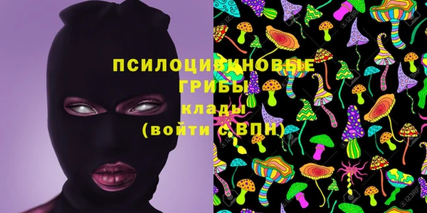 дживик Волоколамск