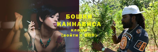 крисы Сосновый Бор