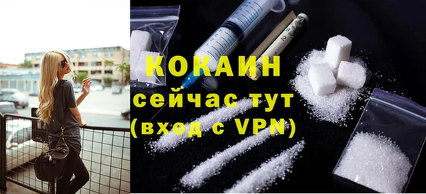 дживик Волоколамск